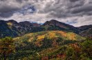 Wasatch fall colors.