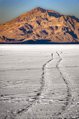 Tire tracks on the Bonneville Salt Flats.